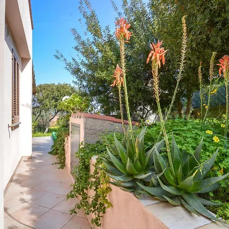 Holiday home Cozy In Torre dei Corsari